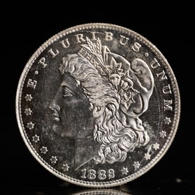 USA Morgan Dollar 1882 Coin