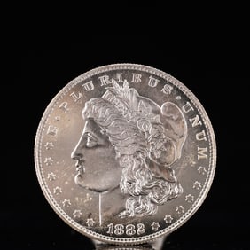 USA Morgan Dollar 1882 Coin