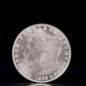USA Morgan Dollar 1885 Coin