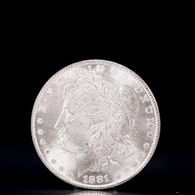 USA Morgan Dollar 1881 Coin