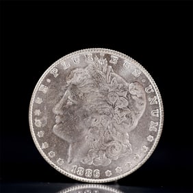 USA Morgan Dollar 1886 Coin