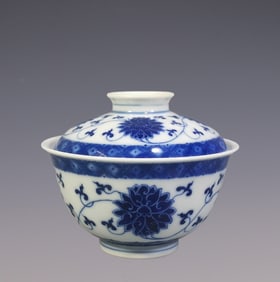 An Exquisite Blue and White Lotus Pattern Bowl