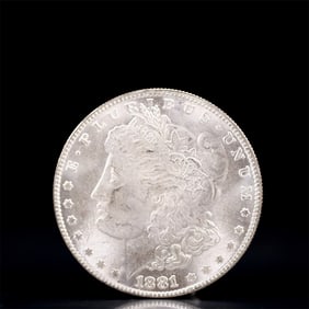 USA Morgan Dollar 1881 Coin
