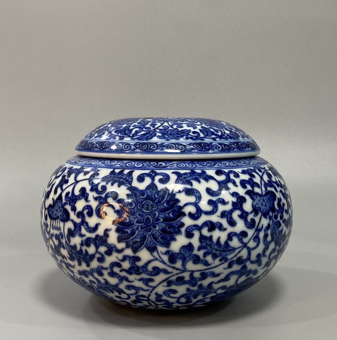 An Exquisite Blue and White Lotus Pattern Jar (1 of 9)