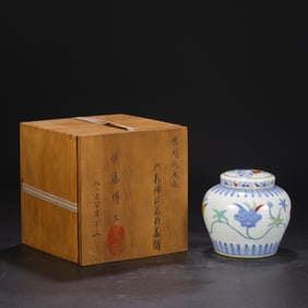An Exquisite Doucai Lotus Pattern Jar