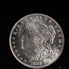 USA Morgan Dollar 1885 Coin
