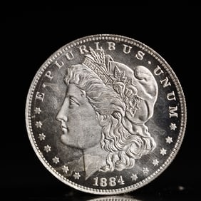 USA Morgan Dollar 1884 Coin