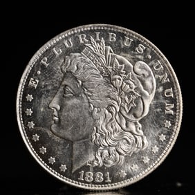 USA Morgan Dollar 1881 Coin