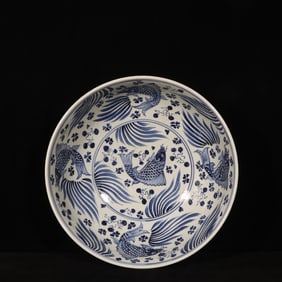 An Exquisite Blue and White Fish Pattern Bowl