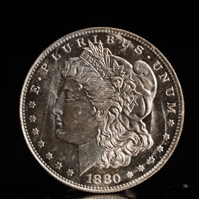 USA Morgan Dollar 1880 Coin