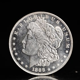 USA Morgan Dollar 1888 Coin