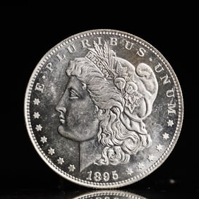 USA Morgan Dollar 1895 Coin
