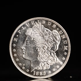 USA Morgan Dollar 1886 Coin