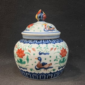 A Exquisite Blue and White Wucai Pattern Jar