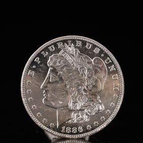 USA Morgan Dollar 1886 Coin