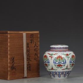 An Exquisite Doucai Flower Pattern Jar