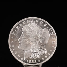 USA Morgan Dollar 1883 Coin