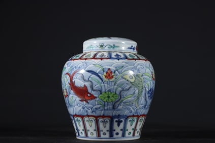 An Exquisite Doucai Fish and Lotus Pattern Jar