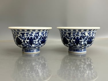 A pair of Exquisite Blue and White Flower Lion Pattern Cup