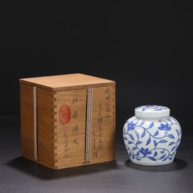 A Exquisite Blue and White Lotus Flower Pattern Jar
