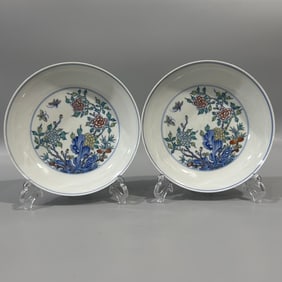A pair of Exquisite Doucai Flower Pattern Plate