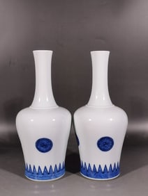 A pair of Exquisite Blue and White Vase
