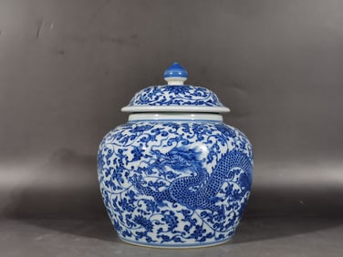 A Exquisite Blue and White Lotus Dragon Pattern Jar