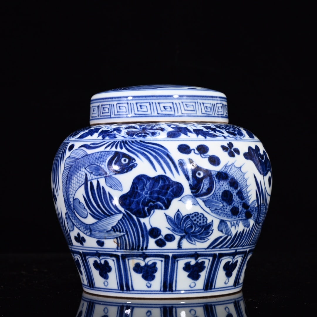 An Exquisite Blue and White Flower and Fish Pattern Jar with Cover (1 of 9)