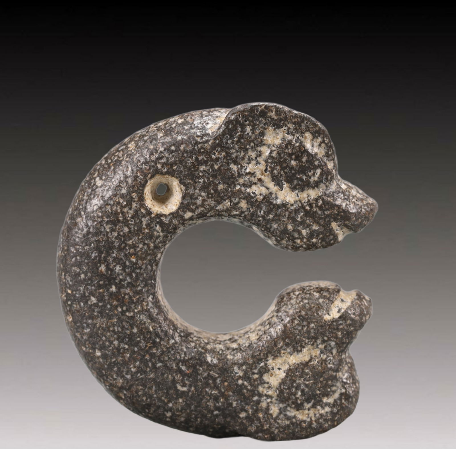 An Archaic Hongshan Culture Coal crystal Pig and Dragon Pendant: An Archaic Hongshan Culture Coal crystal Pig and Dragon Pendant,Ancient Time, China,Size:2.6inx2.8in Weight:131g 