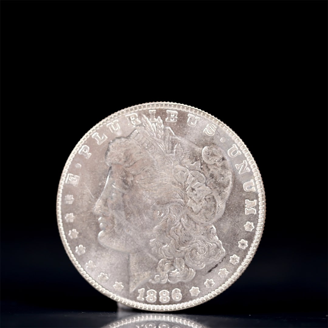 USA Morgan Dollar 1886 Coin: Obv: profile bust with date below and E PLURIBUS UNUM legend and stars around. Rev: eagle with In God we trust above within wreath with UNITED STATES OF AMERICA ONE DOLLAR legend. IN GOD WE TRUST / LI