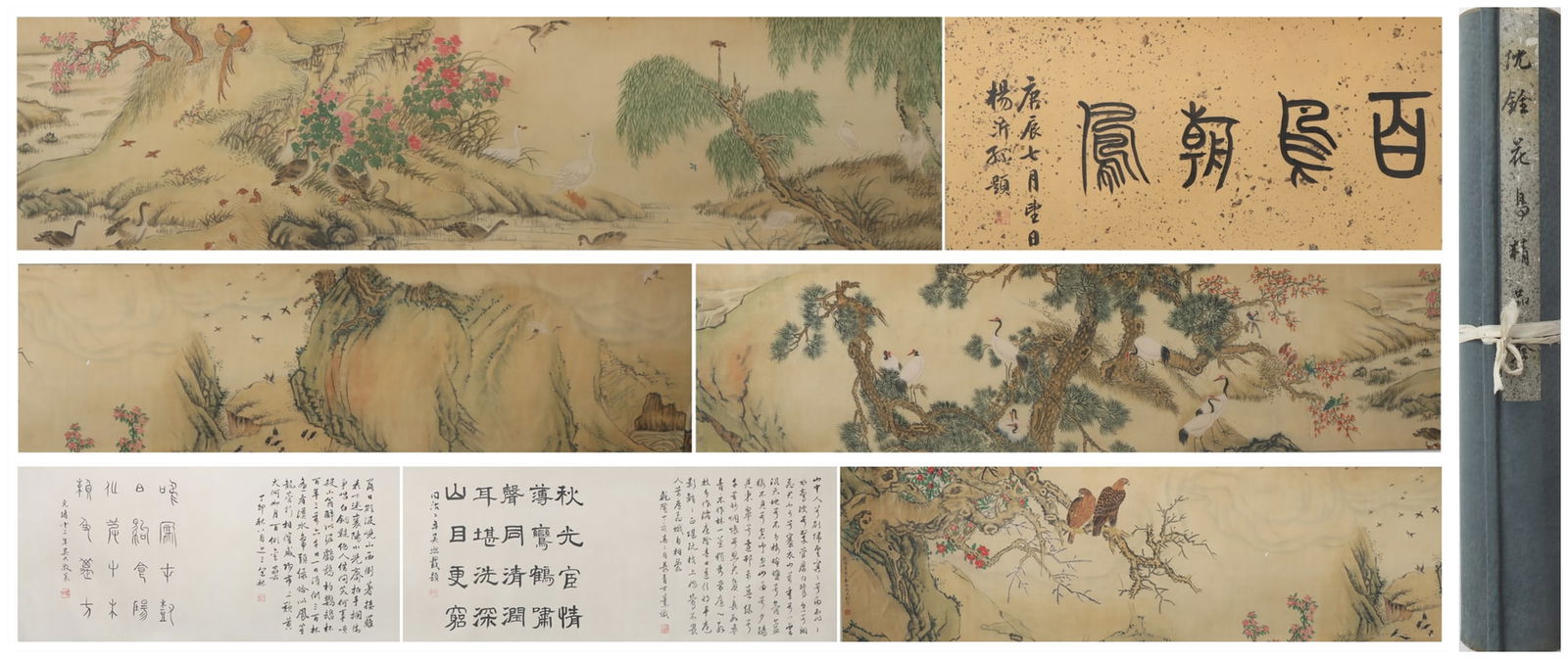 A Chinese Vertical Scroll Ink Painting of Flower and Bird on Silk: A Chinese Vertical Scroll Ink Painting of Flower and Bird on Silk Shen quan Size:274.4inx14.2in沈铨百鸟朝凤 绢本手卷Size:697cmx36cm