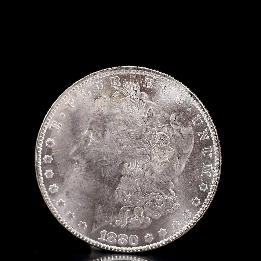 USA Morgan Dollar 1880 Coin: Obv: profile bust with date below and E PLURIBUS UNUM legend and stars around. Rev: eagle with In God we trust above within wreath with UNITED STATES OF AMERICA ONE DOLLAR legend. IN GOD WE TRUST / LI