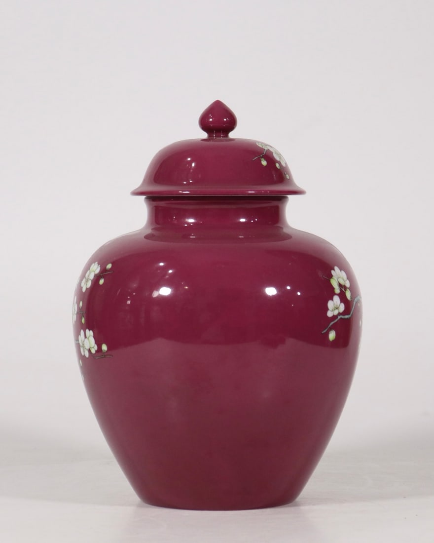 An Exquisite Ruby Red-Glazed Flower Pattern Jar - 3