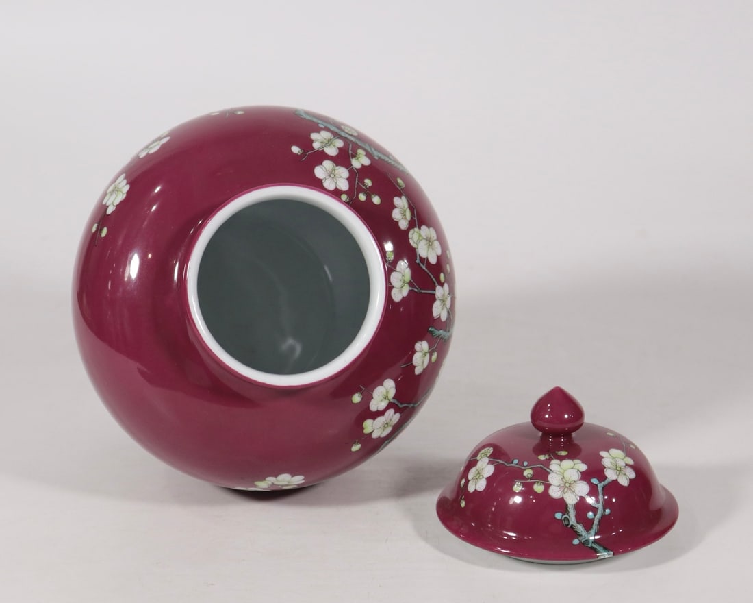 An Exquisite Ruby Red-Glazed Flower Pattern Jar - 7