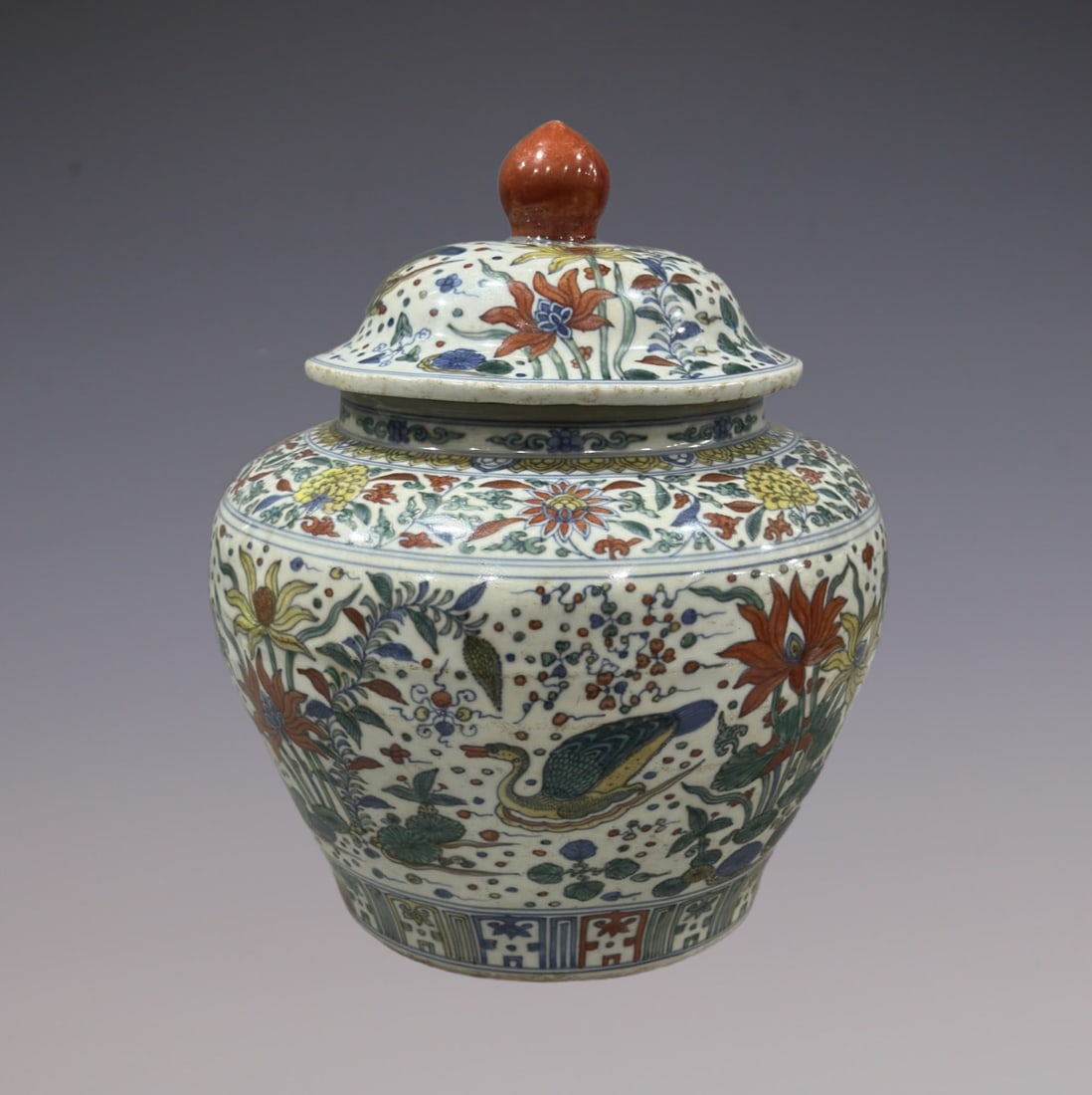 An Exquisite Doucai Blue and White Flower and Bird Pattern Jar (1 of 9)