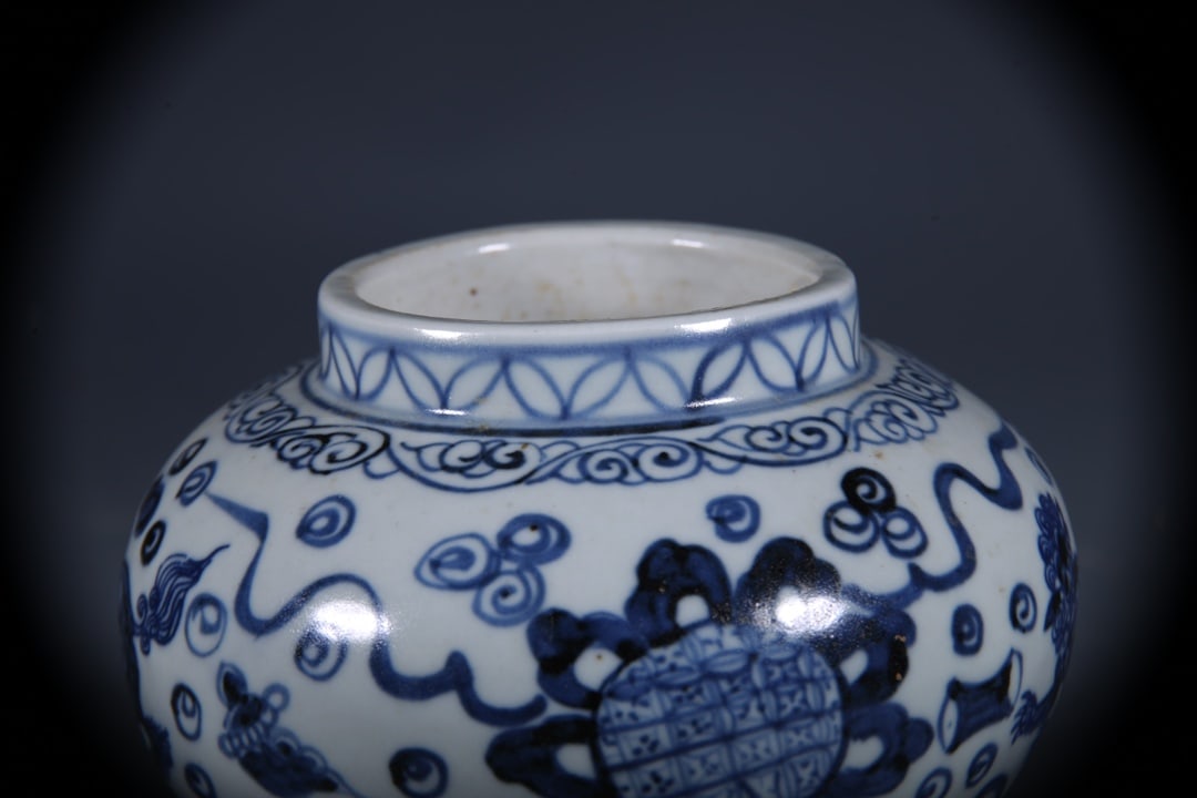 Blue and White Lion Pattern Jar - 5
