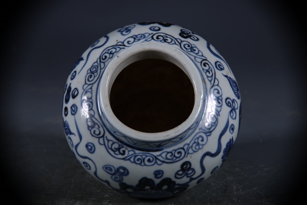 Blue and White Lion Pattern Jar - 7