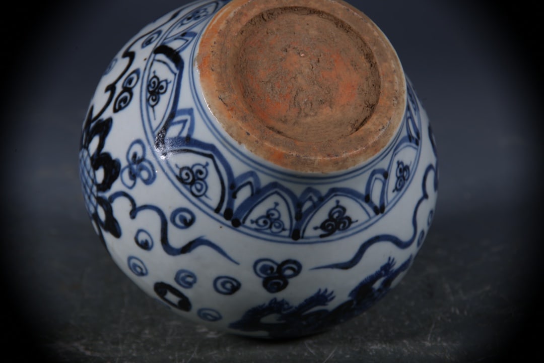 Blue and White Lion Pattern Jar - 8