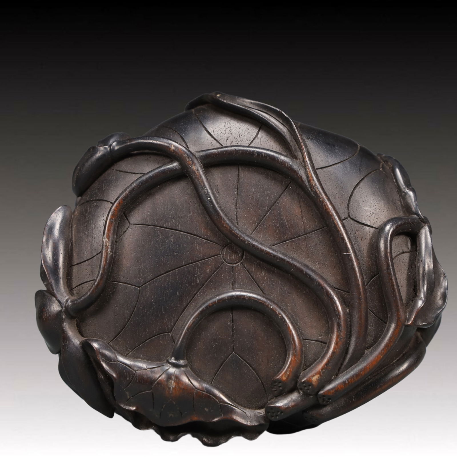 A Precious Crystal Bats Pattern Brush Washer - 9