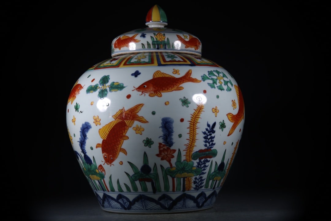 Doucai Fish and Lotus Pattern Jar (1 of 9)