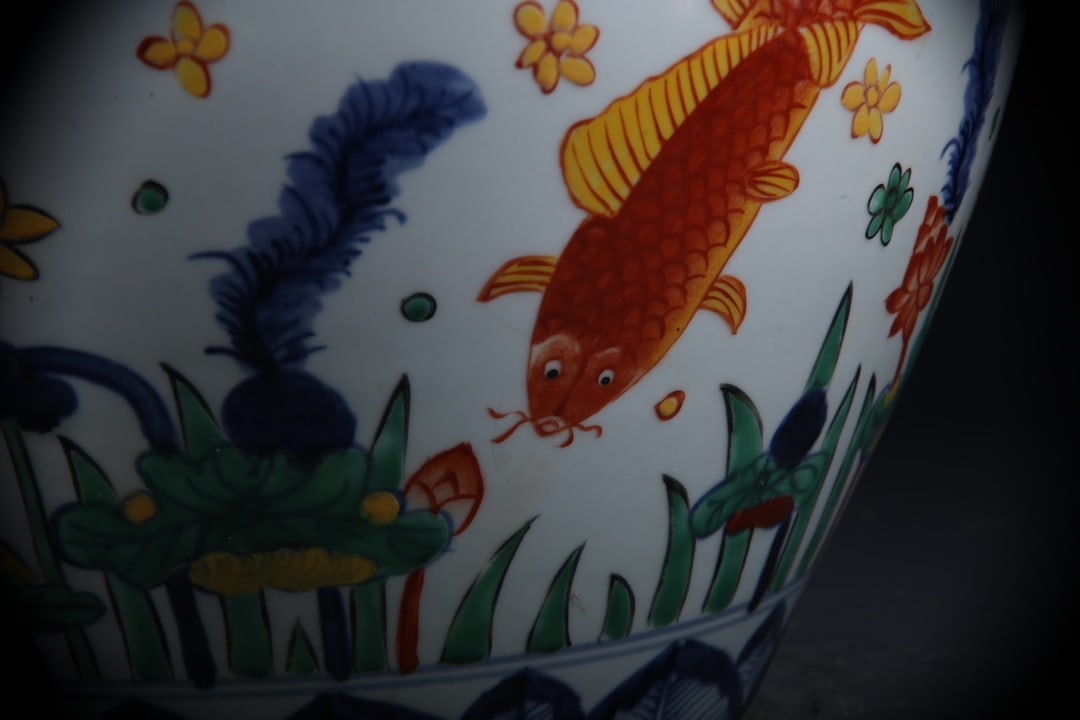 Doucai Fish and Lotus Pattern Jar - 5