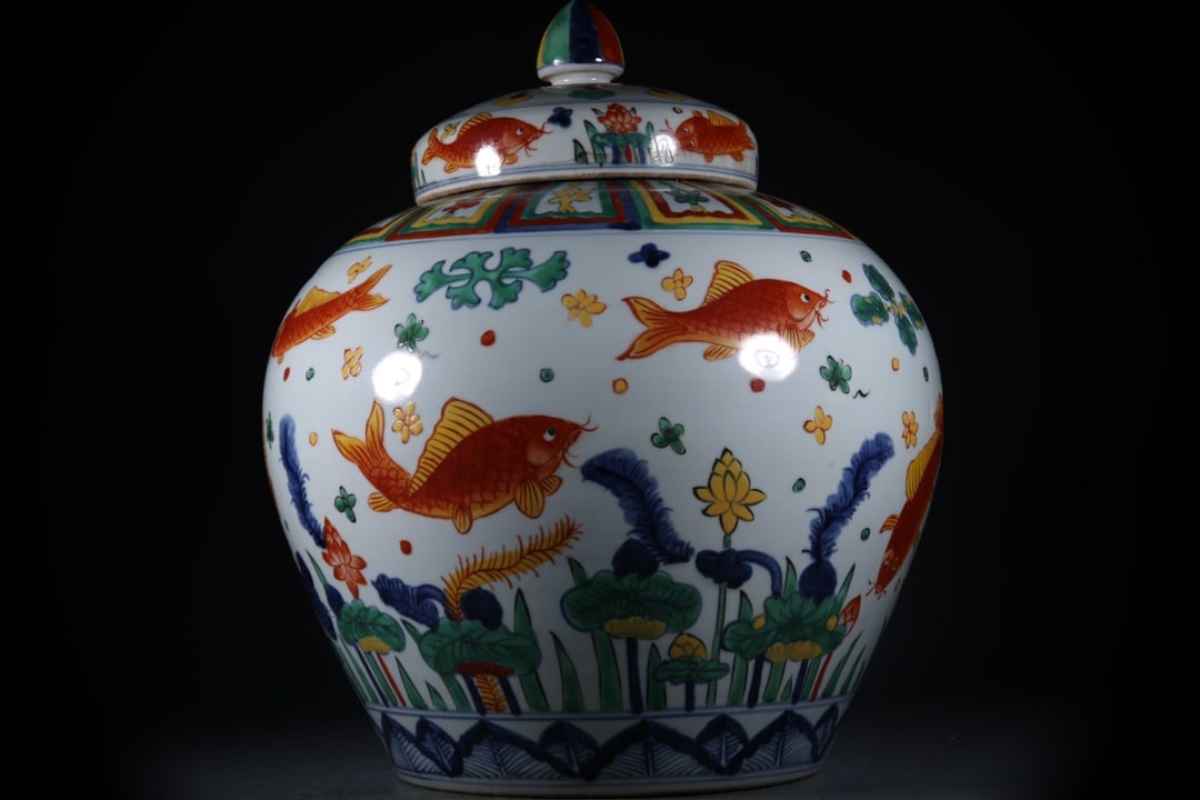 Doucai Fish and Lotus Pattern Jar - 7