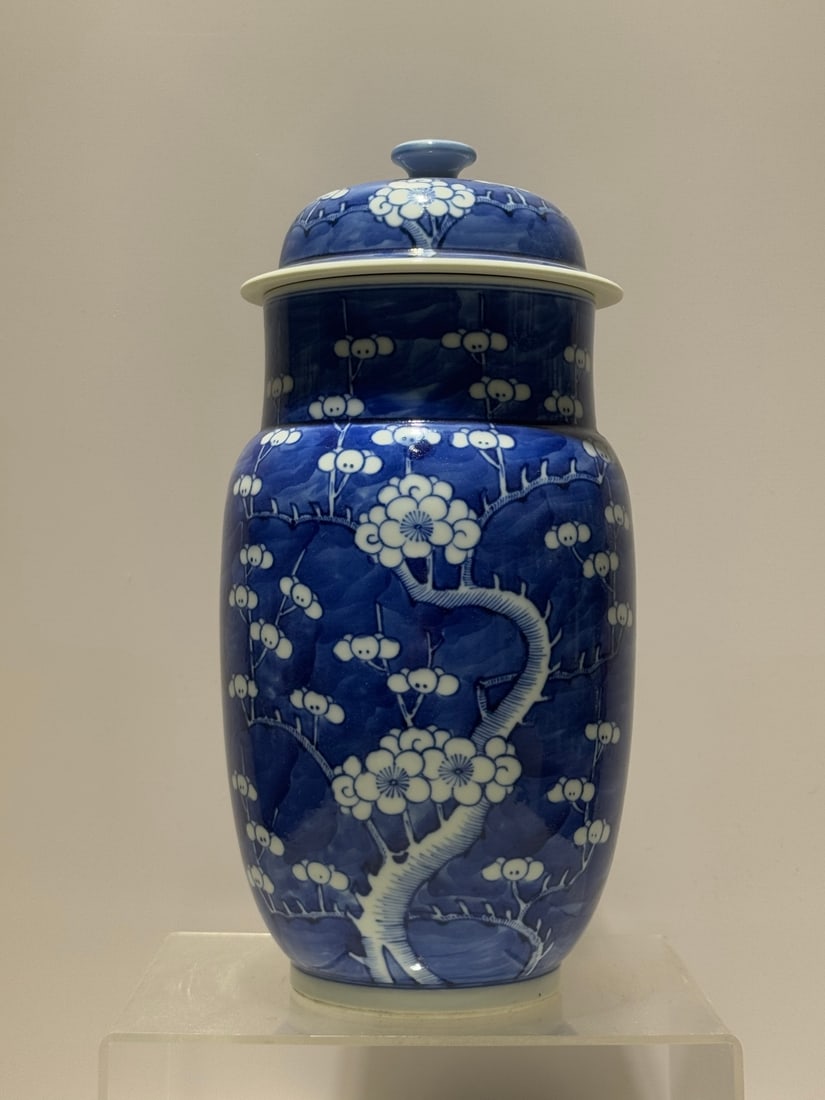 A Exquisite Blue and White Flower Pattern Jar: A Exquisite Blue and White Flower Pattern Jar,Qing Dynasty, China,Kangxi Four-character Mark,Size:11.2in 