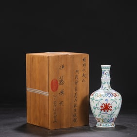 An Exquisite Doucai Lotus Pattern Vase