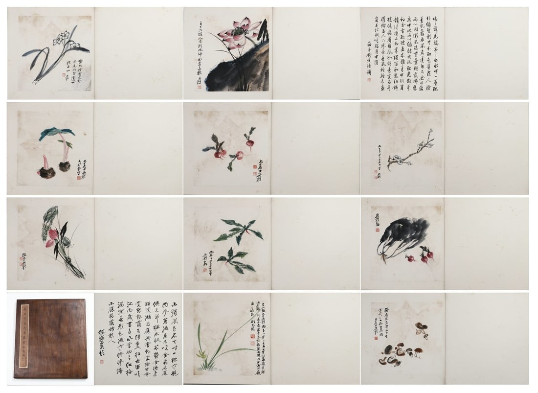 A Chinese Album Ink Painting of Flower and Fruit on Paper: A Chinese Album Ink Painting of Flower and Fruit on Paper,Zhang Daqian,Size:16.5inx15.4in 一本中国水墨花果画册,张大千
