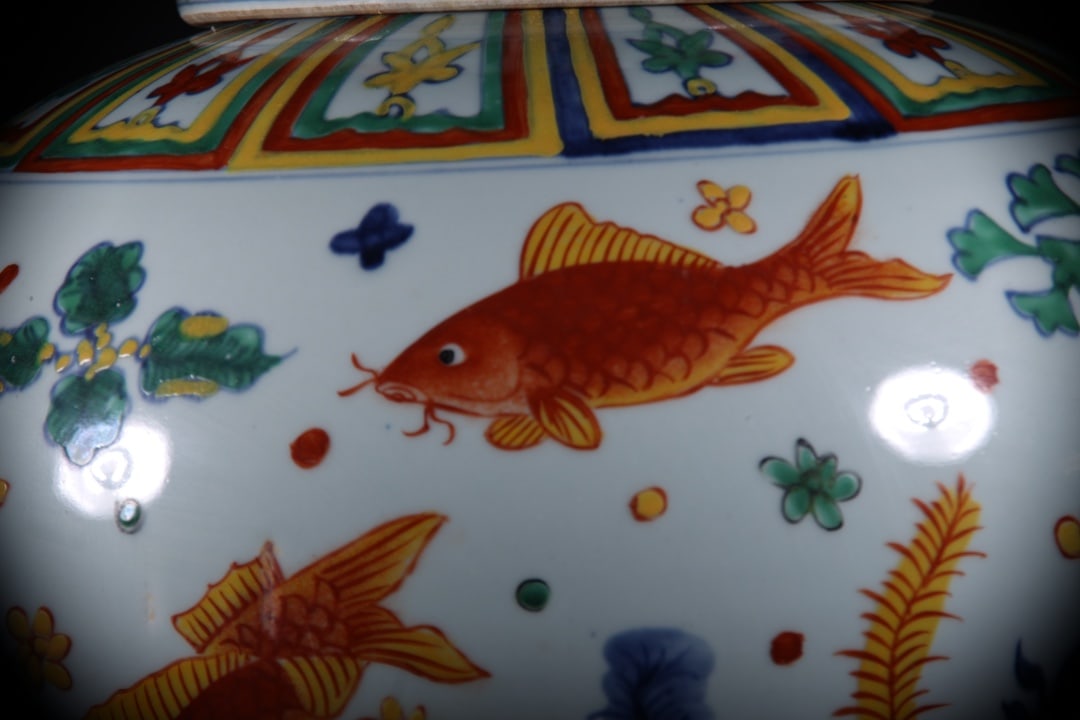 Doucai Fish and Lotus Pattern Jar - 3