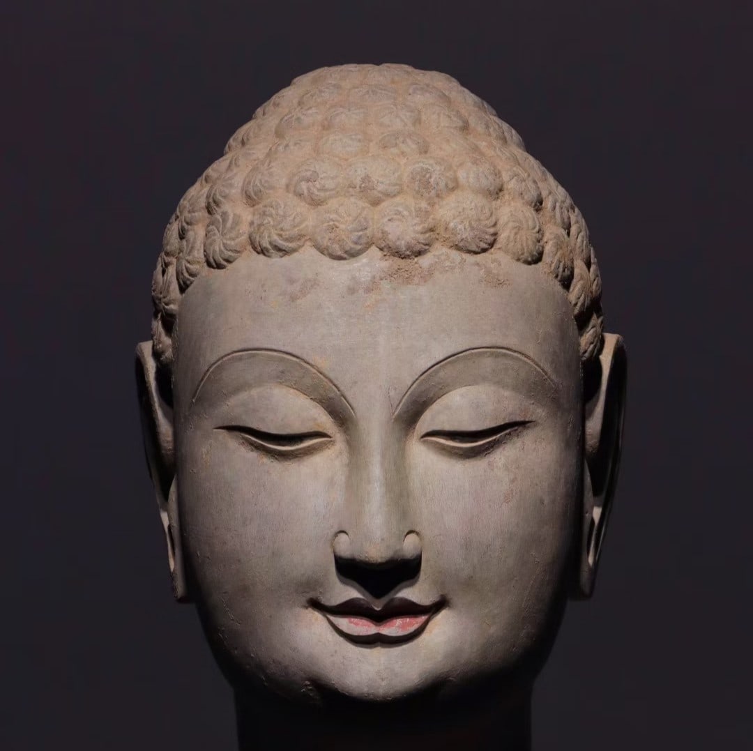 An Exquisite Limestone Statue of Sakyamuni Buddha head: An Exquisite Limestone Statue of Sakyamuni Buddha head The Northern Dynasties of China Size:9.8in青石释迦摩尼佛首 中国北朝Size:2