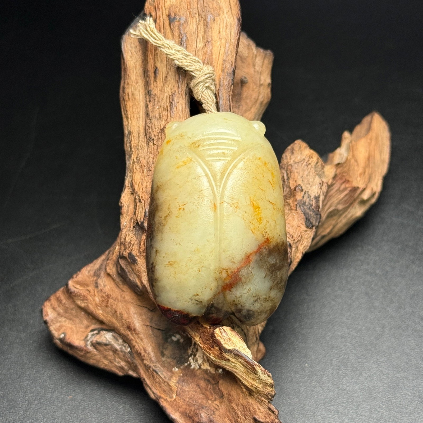 An Exquisite White Jade Cicada Ornament (1 of 7)