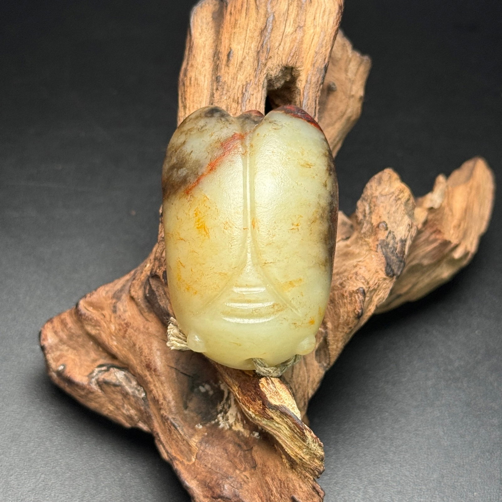 An Exquisite White Jade Cicada Ornament - 7