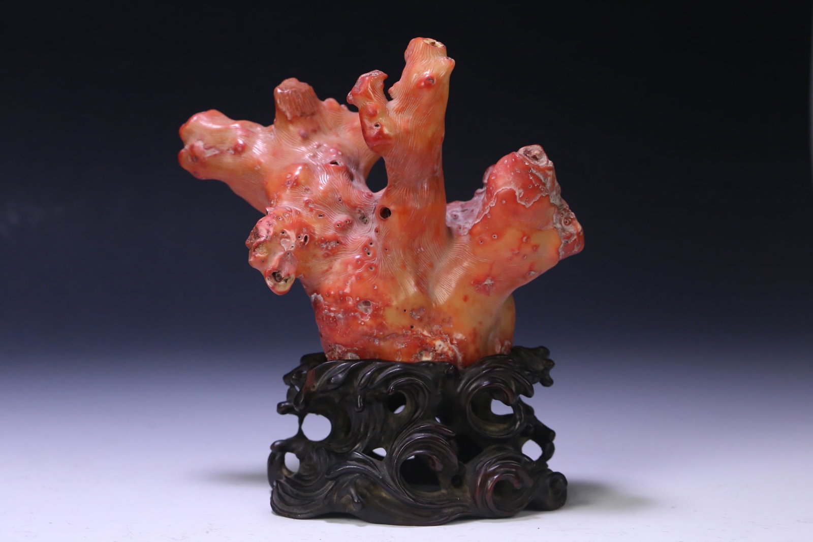 An Exquisite Zitanwood coral Ornament: An Exquisite Zitanwood coral Ornament Qing Dynasty, China Size:9inx7.5inx4.7in?? Weight:1471g珊瑚配紫檀摆件 中国清代